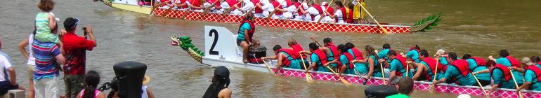 Houston Dragon Boat Festival Pics